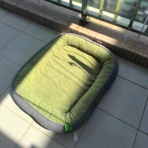 Soft Green Pet Bed with Gray Trim